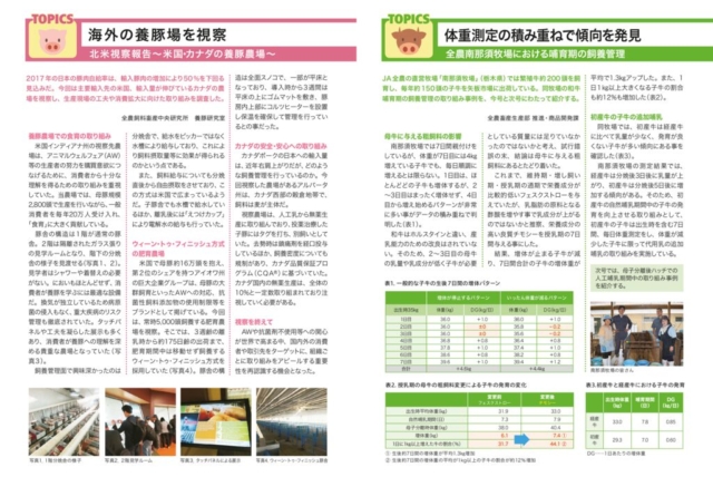 117_chuken_01のサムネイル