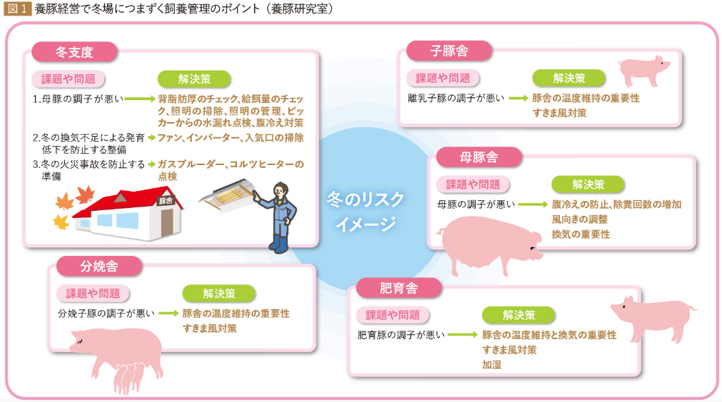 図1　養豚経営で冬場につまずく飼養管理のポイント（養豚研究室）