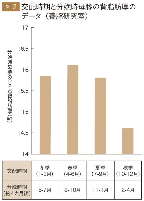 図2　交配時期と分娩時母豚の背脂肪厚のデータ（養豚研究室）