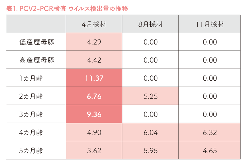 表1．PCV2-PCR検査 ウイルス検出量の推移