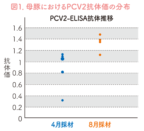 図1．母豚におけるPCV2抗体価の分布