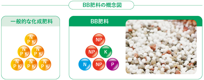 BB肥料の概念図