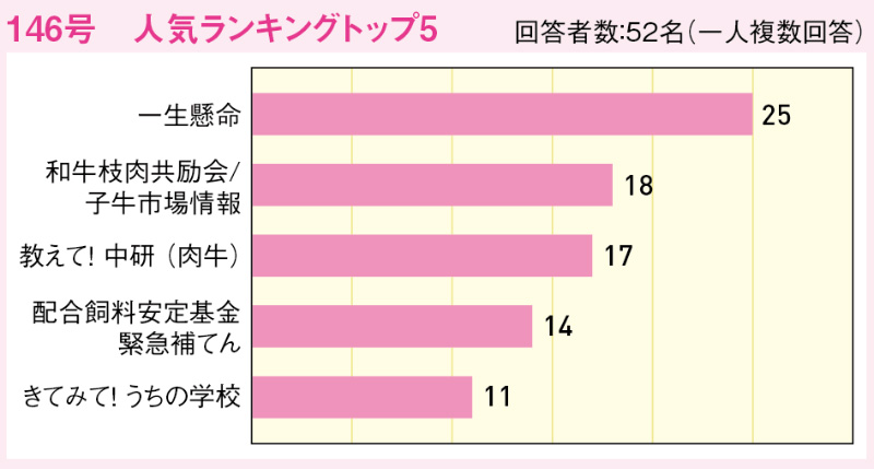 146号　人気ランキングトップ5