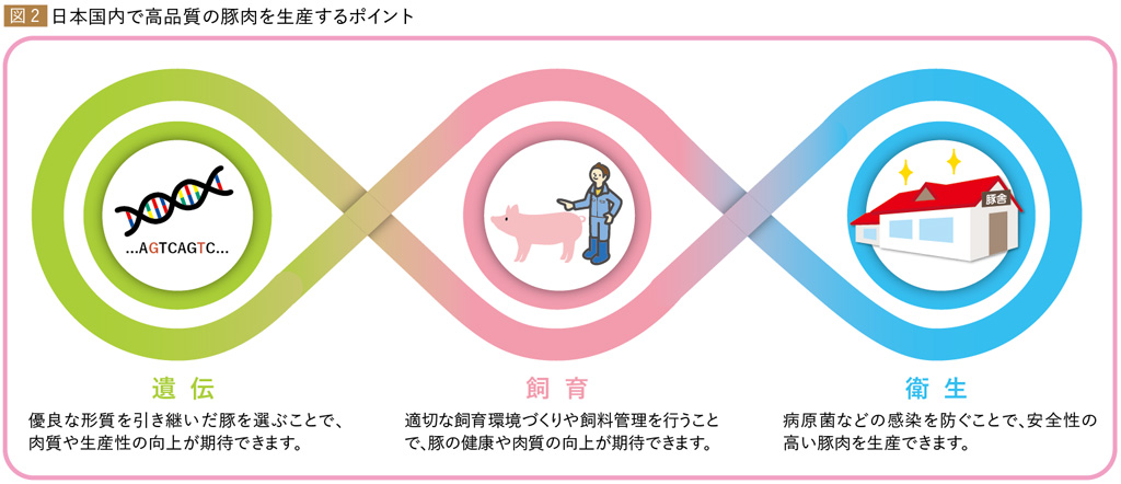 図2　　日本国内で高品質の豚肉を生産するポイント