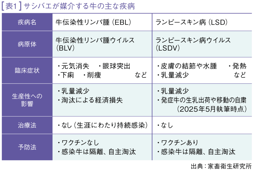 表1 サシバエが媒介する牛の主な疾病