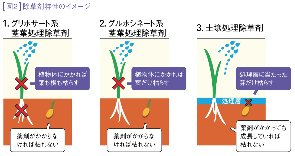 図2 除草剤特性のイメージ