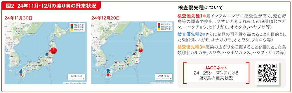 図2 24年11月・12月の渡り鳥の飛来状況