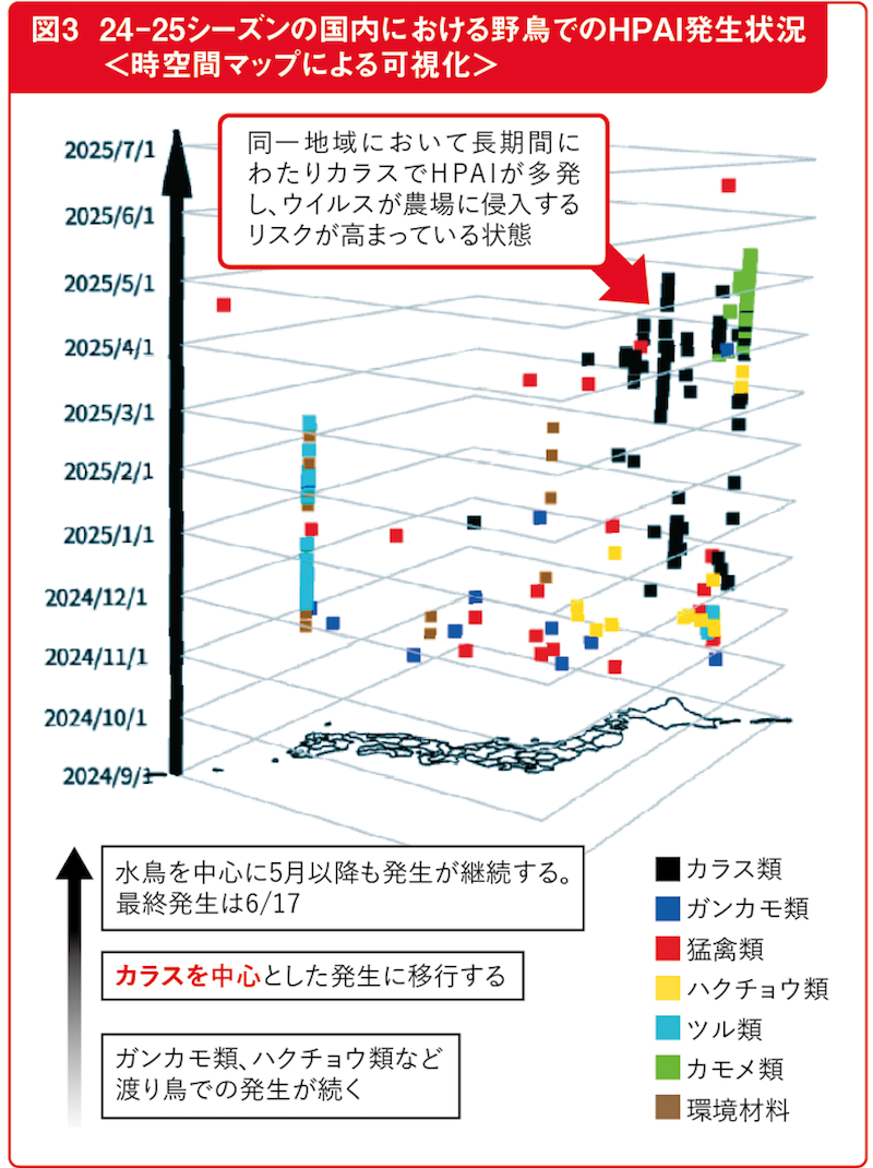 図3 24-25シーズンの国内における野鳥でのHPAI発生状況<時空間マップによる可視化>