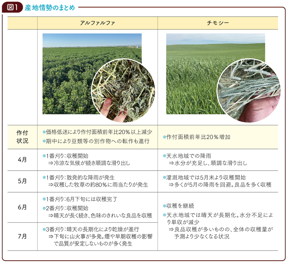 図1　産地情勢のまとめ